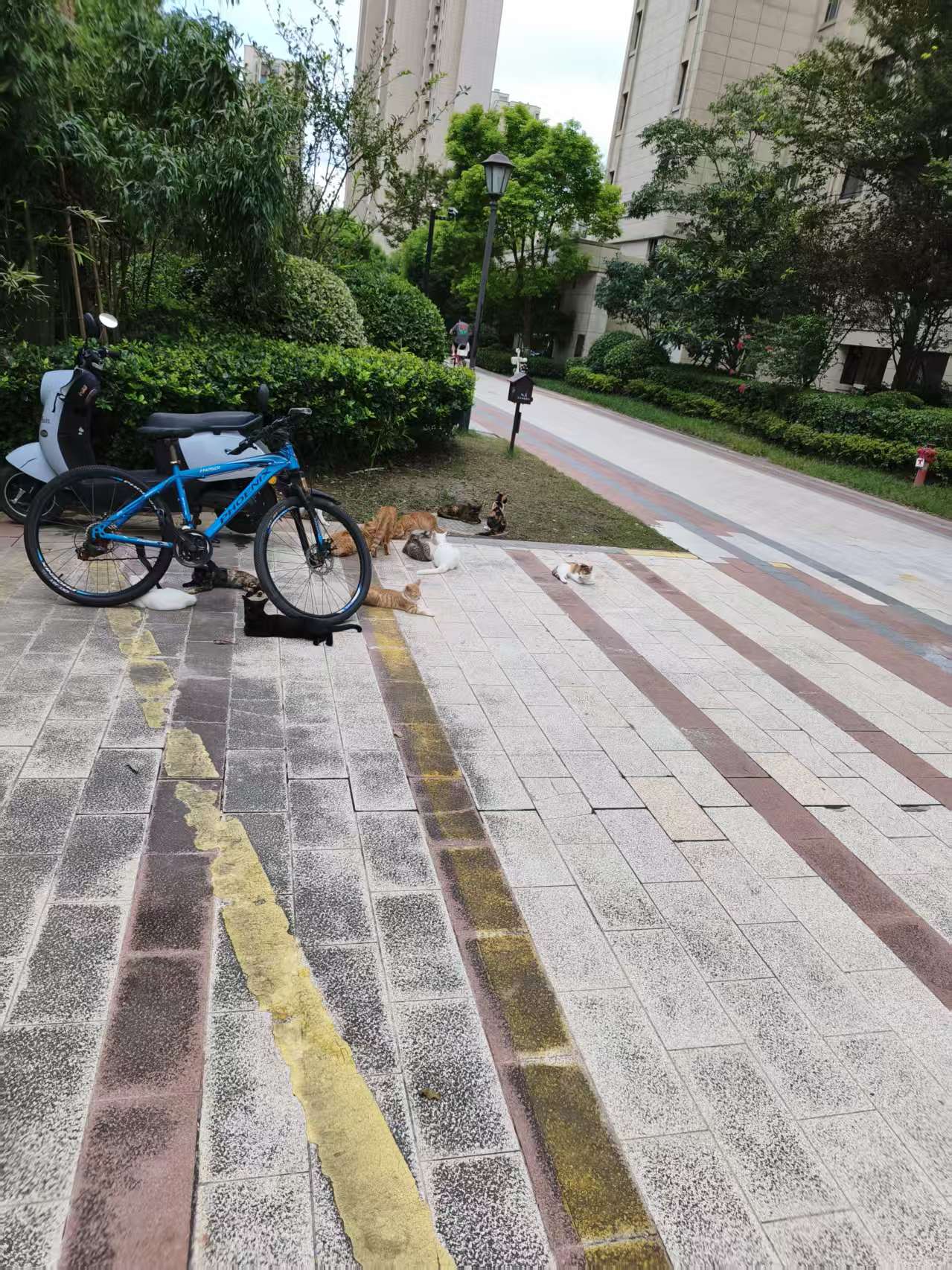 微信图片_20260901174543_604_19.jpg